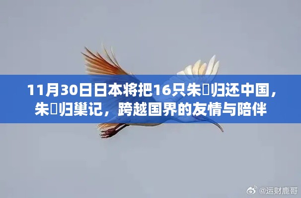 第503页