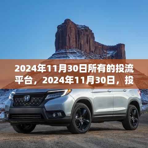 回顾与展望，2024年11月30日投流平台的繁荣及其影响深度解析