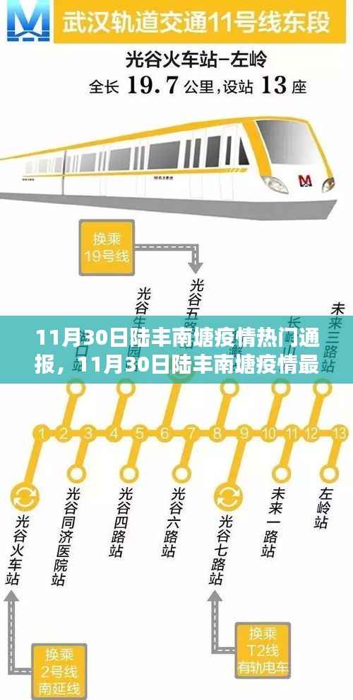 11月30日陆丰南塘疫情热门通报，11月30日陆丰南塘疫情最新通报及防控动态