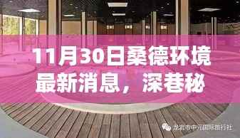 深巷秘境探秘桑德环境最新动态，隐藏瑰宝小店揭秘标题建议，探访桑德环境最新动态下的隐藏瑰宝小店，深巷秘境中的最新消息揭秘