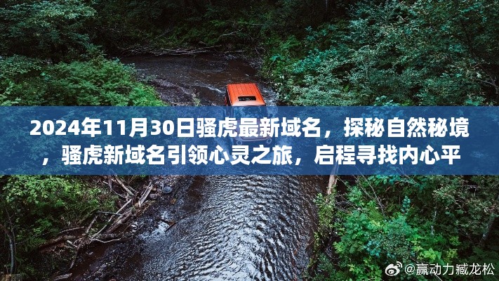 探秘自然秘境,骚虎最新域名引领心灵之旅启程寻找内心平静之旅的启程号角