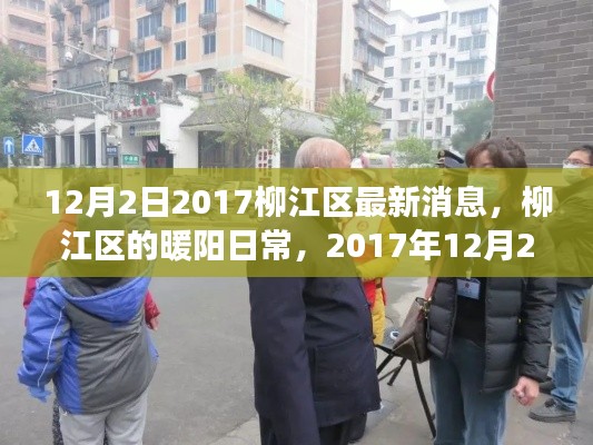 柳江区暖阳日常,温馨故事在冬日里绽放(2017年12月2日最新消息)