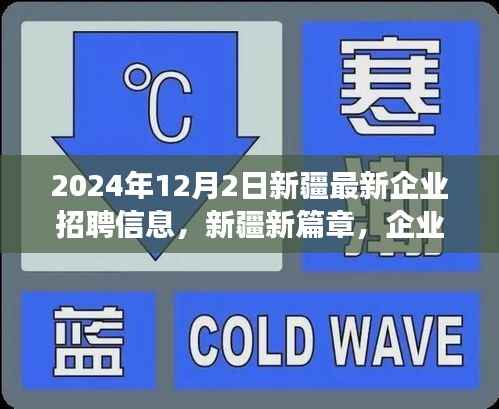 新疆新篇章,企业招聘温暖故事与友情之旅(2024年最新)