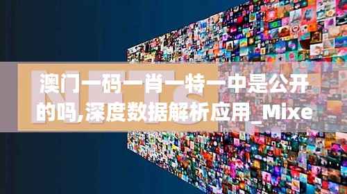 澳门一码一肖一特一中是公开的吗,深度数据解析应用_Mixed4.137-2