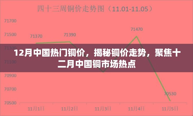 成功案例 第410页