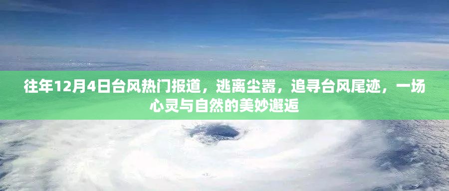 追寻台风尾迹,心灵与自然的美妙邂逅,历年台风热门报道回顾