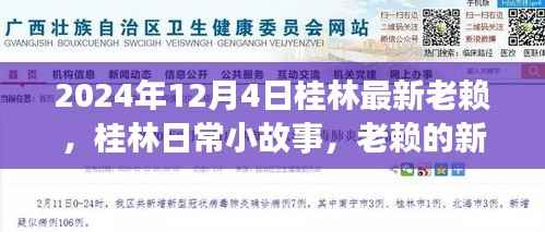 桂林老赖新篇章,日常小故事中的最新失信者(日期标注)
