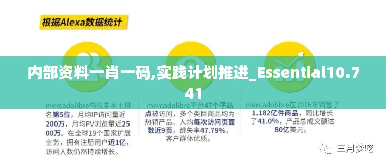 内部资料一肖一码,实践计划推进_Essential10.741