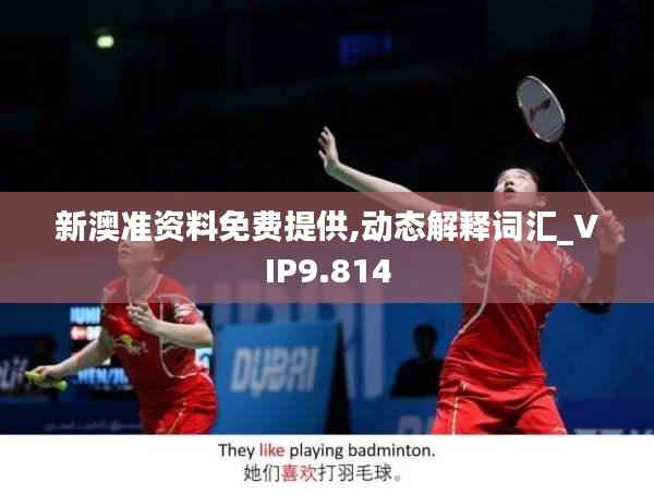 新澳准资料免费提供,动态解释词汇_VIP9.814