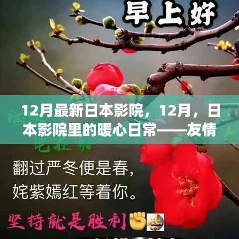 日本影院暖心日常,十二月友情与陪伴的温馨故事