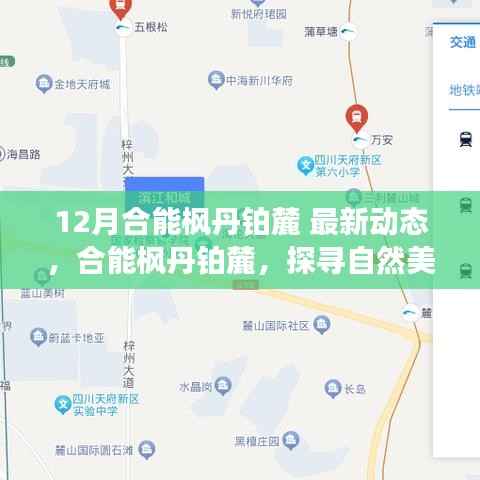 合能枫丹铂麓十二月最新动态，探寻自然美景的心灵之旅