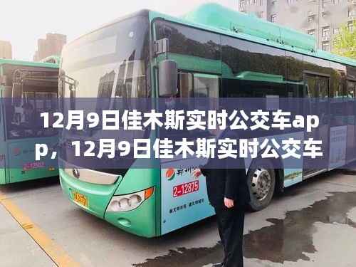 12月9日佳木斯实时公交车app,便捷与争议同行