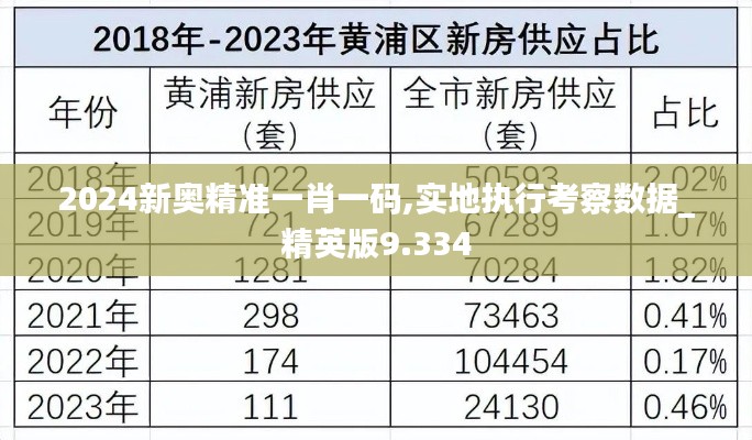 2024新奥精准一肖一码,实地执行考察数据_精英版9.334