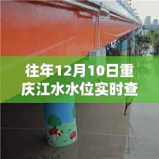 往年12月10日重庆江水水位实时查询系统评测与介绍深度解析