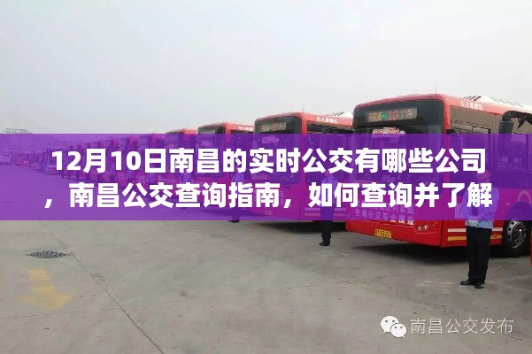 南昌实时公交查询指南,了解公交公司、查询方法与最新实时公交信息(12月10日)