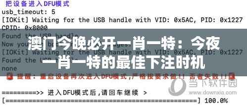 澳门今晚必开一肖一特:今夜一肖一特的最佳下注时机