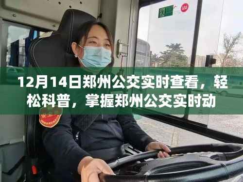 12月14日郑州公交实时查看指南,轻松掌握公交动态,无忧出行