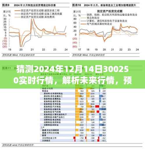 解析未来行情,预测2024年12月14日300250实时行情展望及市场趋势分析