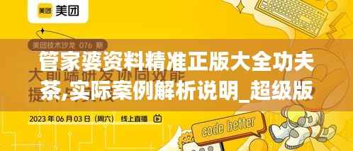 管家婆资料精准正版大全功夫茶,实际案例解析说明_超级版8.248