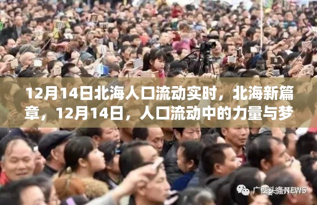 北海人口流动实时观察,力量与梦想启航的新篇章(12月14日)