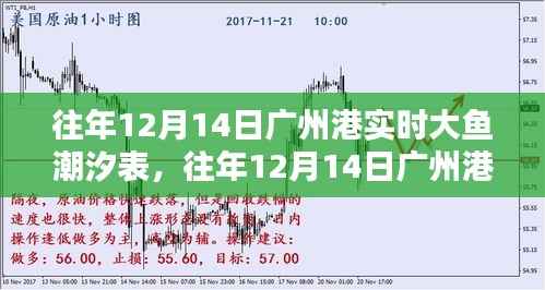 往年12月14日广州港潮汐表深度解析,大鱼潮汐实时数据与介绍