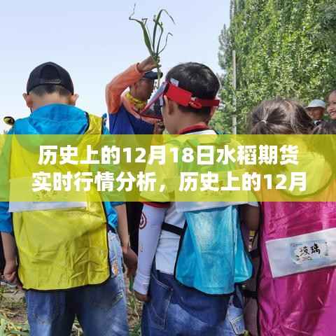 透视历史波动,揭秘12月18日水稻期货行情深度解析与实时行情分析