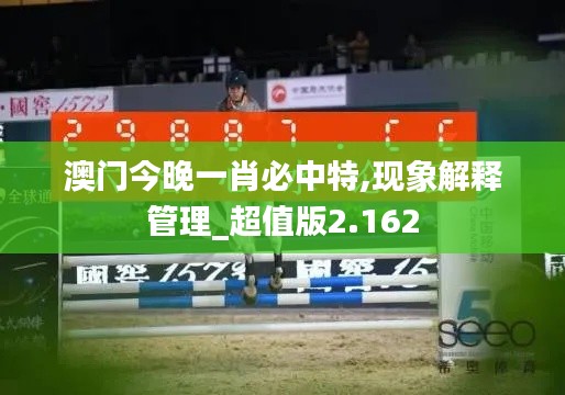 澳门今晚一肖必中特,现象解释管理_超值版2.162