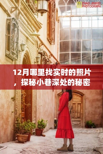 探秘十二月小巷深处的艺术角落,实时照片探寻之旅