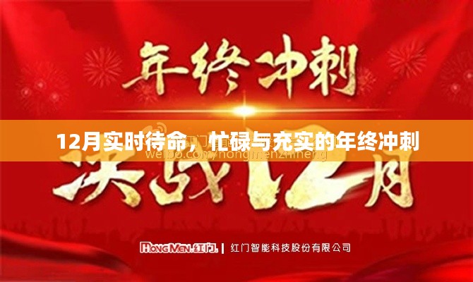 年终冲刺,忙碌与充实的十二月实时待命时刻