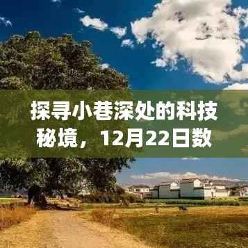 科技秘境探寻之旅,数据读取与实时显示的奇妙小巷之旅(12月22日)