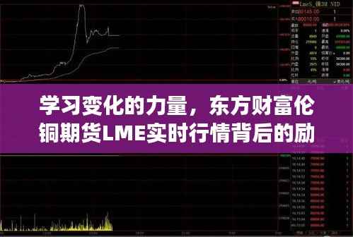 学习变化的力量,东方财富伦铜期货LME实时行情背后的励志故事与成长之旅