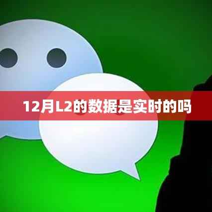 12月L2数据实时性解析