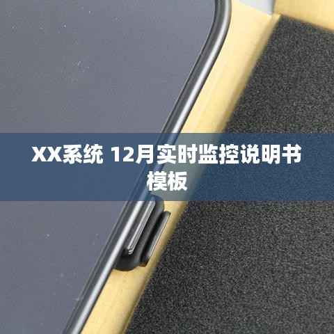 XX系统12月实时监控使用指南