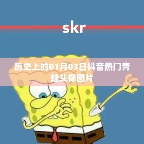 抖音热门青蛙头像图片,历史日期的独特记忆