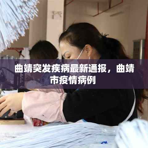 曲靖突发疾病最新通报,曲靖市疫情病例