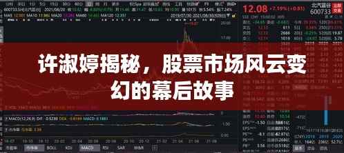 许淑婷揭秘,股票市场风云变幻的幕后故事