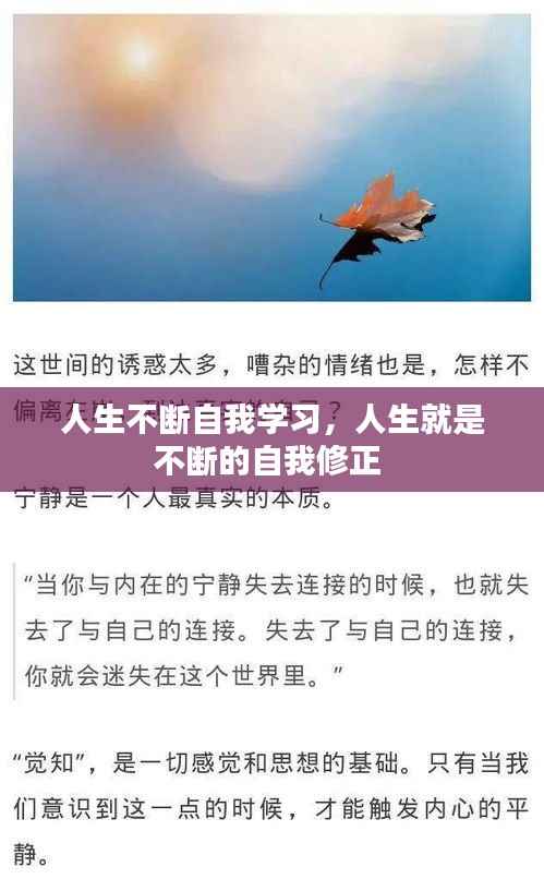 人生不断自我学习,人生就是不断的自我修正