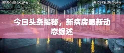 今日头条揭秘,新病房最新动态综述