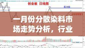 一月份分散染料市场走势分析，行业行情大揭秘！