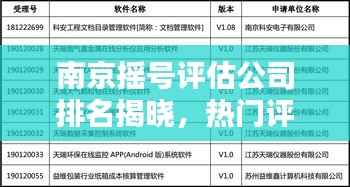 南京摇号评估公司排名揭晓,热门评估机构榜单出炉!