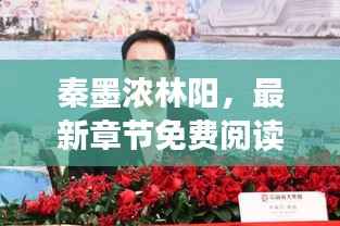 秦墨浓林阳,最新章节免费阅读之旅开启