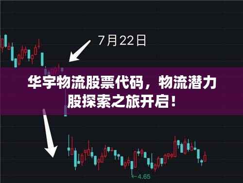 华宇物流股票代码,物流潜力股探索之旅开启!