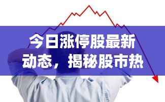 今日涨停股最新动态,揭秘股市热门新闻