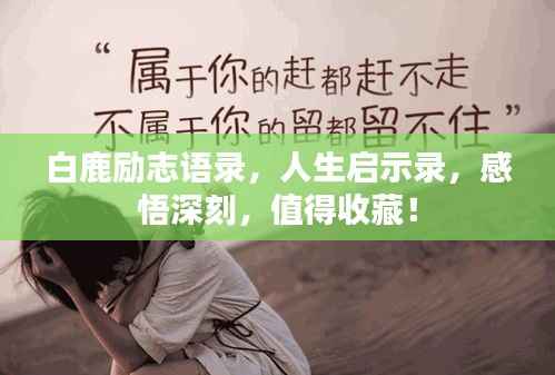 白鹿励志语录,人生启示录,感悟深刻,值得收藏!