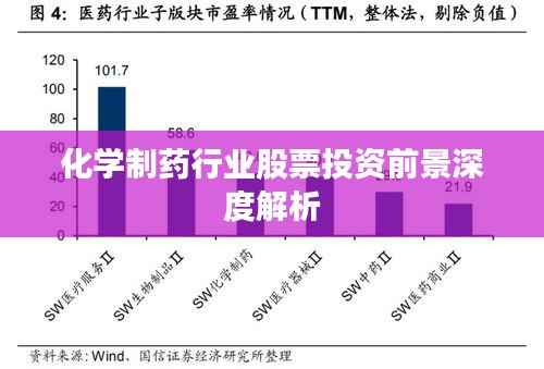 化学制药行业股票投资前景深度解析
