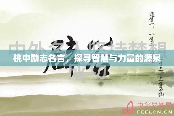 桃中励志名言,探寻智慧与力量的源泉