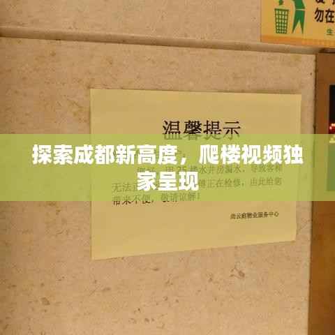 探索成都新高度,爬楼视频独家呈现