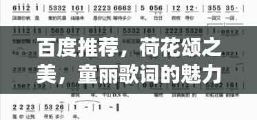 百度推荐,荷花颂之美,童丽歌词的魅力展现