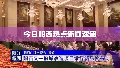 今日阳西热点新闻速递