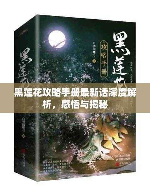 黑莲花攻略手册最新话深度解析,感悟与揭秘